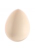 Dinosaur Hatch Egg